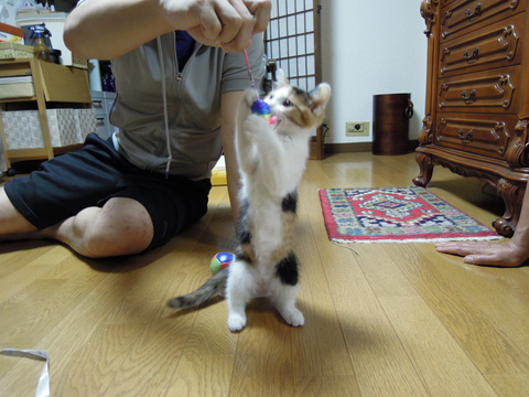 sakimu121596.JPG